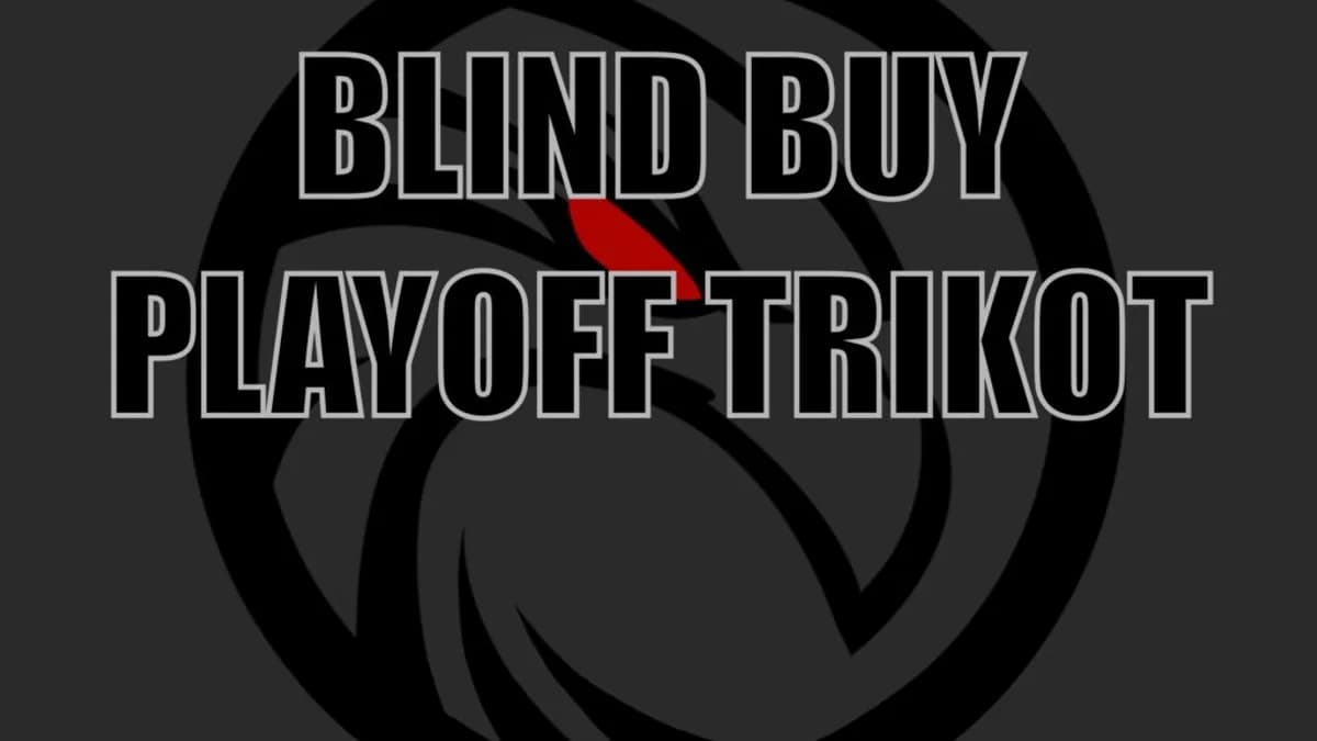 PLAYOFF TRIKOTS